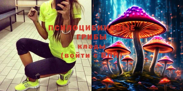 мет Алексин