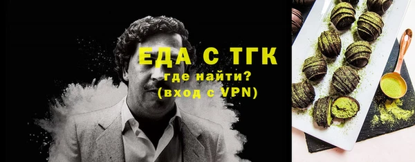 мет Алексин