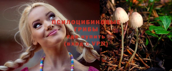 мет Алексин