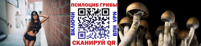 Галлюциногенные грибы GOLDEN TEACHER  наркотики  блэк спрут как войти  Алзамай 
