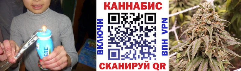 Бошки марихуана MAZAR Алзамай