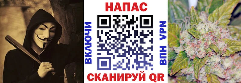 Бошки Шишки индика  Алзамай 